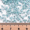 Glass Bugle Beads X-SEED-S032-09A-631-4