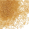 50G Glass Seed Beads SEED-PA0001-36A-02-1
