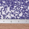 MIYUKI Delica Beads SEED-X0054-DB1569-4