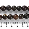 Natural Polychrome Jasper/Picasso Stone/Picasso Jasper Beads Strands G-C160-01-10mm-5