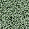 MIYUKI Delica Beads SEED-MY11-DB2310-3