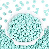 Opaque Baking Paint Glass Seed Beads SEED-N008-03A-07-2