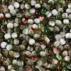 Drawbench Style Glass Seed Beads SEED-Q039-01L-3