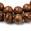 Natural Elephant Skin Jasper/Miriam Stone/Calligraphy Stone Beads Strands G-Q462-54-6mm-2