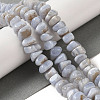 Natural Blue Lace Agate Beads Strands G-NH0017-B05-03-2