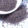 MIYUKI Delica Beads SEED-X0054-DB1067-1