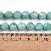 Natural Amazonite Beads Strands G-S345-10mm-25-5