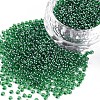 12/0 Grade A Round Glass Seed Beads X-SEED-Q011-F522-1
