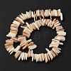 Natural Shell Beads Strands SHEL-D002-01A-2