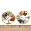 Natural Quartz Crystal & Amethyst & Lapis Lazuli & Green Aventurine & Yellow Quartz & Carnelian & Red Jasper Chip Beaded Tree of Life Chakra Big Pendants G-Z101-07G-3