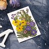 Pressed Dried Flowers DIY-YWC0001-97-5