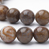 Natural Petrified Wood Beads Strands G-Q462-136-6mm-3