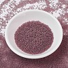 MIYUKI Delica Beads SEED-J020-DB0765-2