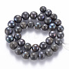 Natural Baroque Pearl Keshi Pearl Beads Strands PEAR-S021-188-2