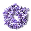 Dyed Natural Trochus Shell Beads Strands SSHEL-C013-09N-2
