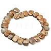 Natural Picture Jasper Beads Strands G-C285-A11-01-4