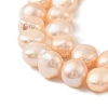 Natural Cultured Freshwater Pearl Beads Strands PEAR-P064-19I-01A-4