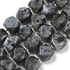 Natural Labradorite Beads Strands GG-CBAF8A8-A05-01-2