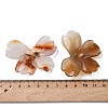 Natural Red Agate Carved Beads G-L650-O01-01-3