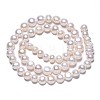 Natural Cultured Freshwater Pearl Beads Strands PEAR-N014-07B-2