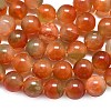 Natural Malaysia Jade Beads Strands G-L645-C01-10mm-29-4
