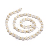 Natural White Moonstone Beads Strands G-P463-16-3