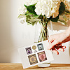 PVC Sakura Stamp DIY-WH0486-029-3