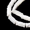 Natural Trochid Shell/Trochus Shell Beads Strands SHEL-A006-06A-3