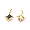 Brass Micro Pave Cubic Zirconia Charms ZIRC-G161-24-2