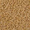 TOHO Round Seed Beads SEED-JPTR11-0162F-2