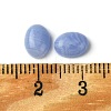 Synthetic Blue Lace Agate Cabochons G-A094-01B-40-3