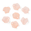 Transparent Acrylic Beads X-MACR-S373-106-D06-A-1