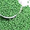 Baking Paint Glass Seed Beads X1-SEED-K010-A27-1