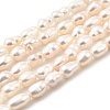 Natural Cultured Freshwater Pearl Beads Strands PEAR-I007-01J-01A-2