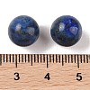 Natural Lapis Lazuli No Hole Sphere Beads G-K353-04A-10-3