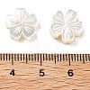 Natural White Shell Carved Beads SSHEL-Z002-02A-3