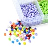 100G 10 Style 11/0 Glass Seed Beads SEED-YW0002-41-2