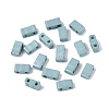 2-Hole Baking Paint Glass Seed Beads SEED-S023-17B-43-1