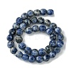 Natural Blue Spot Jasper Beads Strands G-H023-A07-01-3