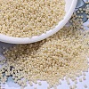MIYUKI Round Rocailles Beads X-SEED-G007-RR0487-1