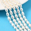 Natural Cultured Freshwater Pearl Beads Strands PEAR-I007-01C-03A-1