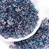 Spray Painted Transparent Glass Seed Beads SEED-T007-05F-3