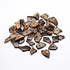 Dyed Chip Coconut Beads LS-X-COCO-N001-23A-1