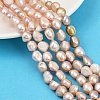 Natural Cultured Freshwater Pearl Beads Strands PEAR-P064-20K-01B-1