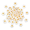 Natural Freshwater Shell Beads with Orange Enamel SHEL-CJ0001-25-3