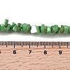 Natural Freshwater Shell Beads SHEL-B003-01E-4