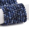 Natural Sodalite Beads Strands G-B088-C25-04-1