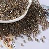 Glass Seed Beads SEED-S042-13A-16-1