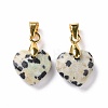 Natural Dalmatian Jasper Pendants G-C023-07H-2