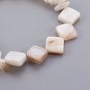 White Shell Chip Beads Stretch Bracelets BJEW-JB03982-02-2